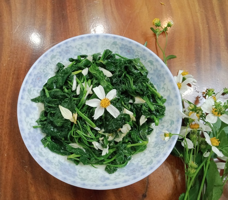 Ý nghĩa của hoa anh túc là gì? Những công dụng bất ngờ của hoa anh túc